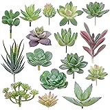 Augshy Artificial Succulents, 16 Pack Fake