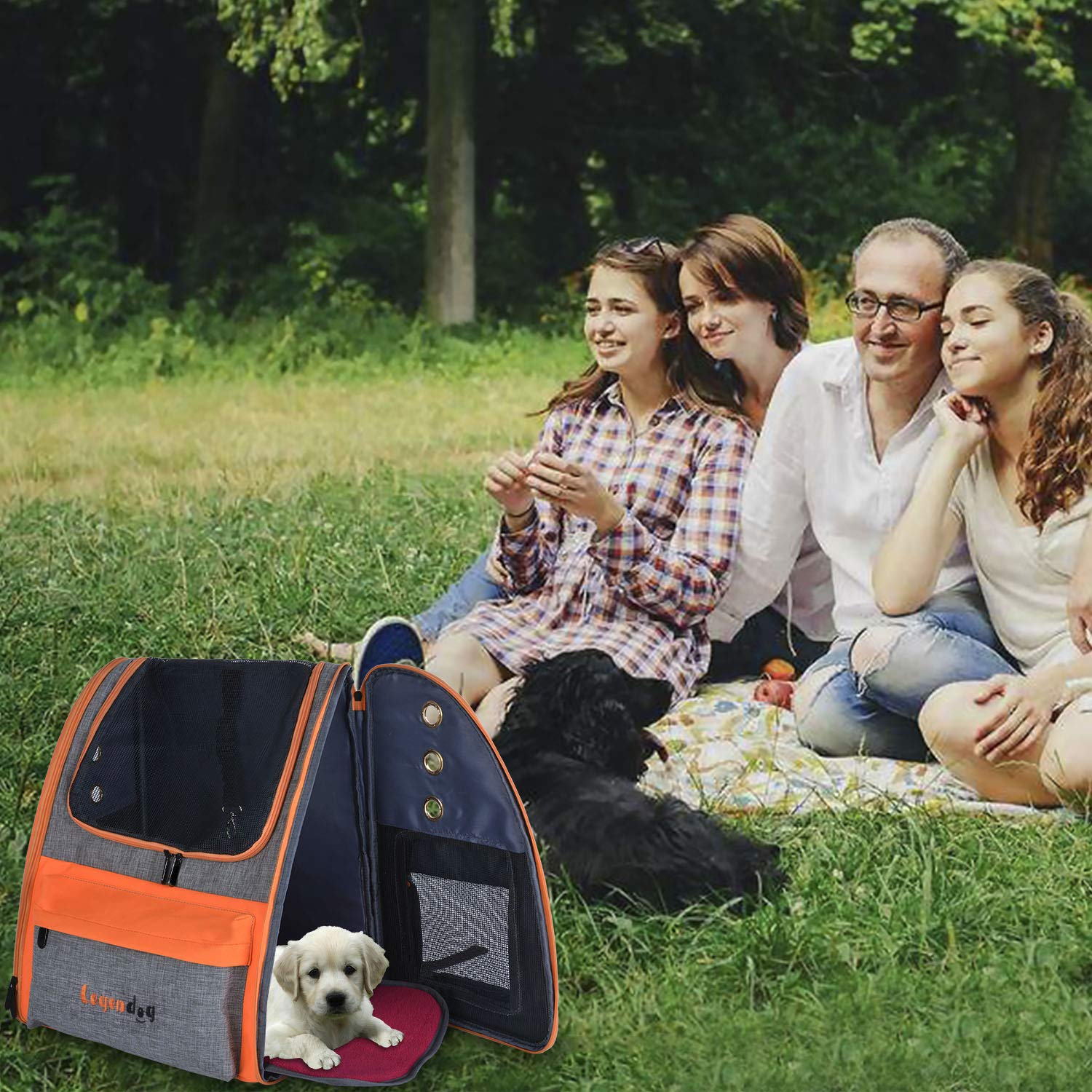 Legendog Dog Backpack, Pet Backpack Carrier Portable Travel Bag Breathable Pet Backpack for Dogs& Cats, Waterproof Cat Hiking Backpack with Cushion & Adjustable Strap (Pet Backpack)