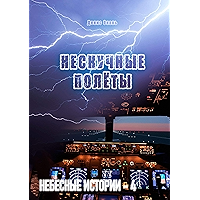 Нескучные полёты: Небесные истории – 4 (Russian Edition) book cover