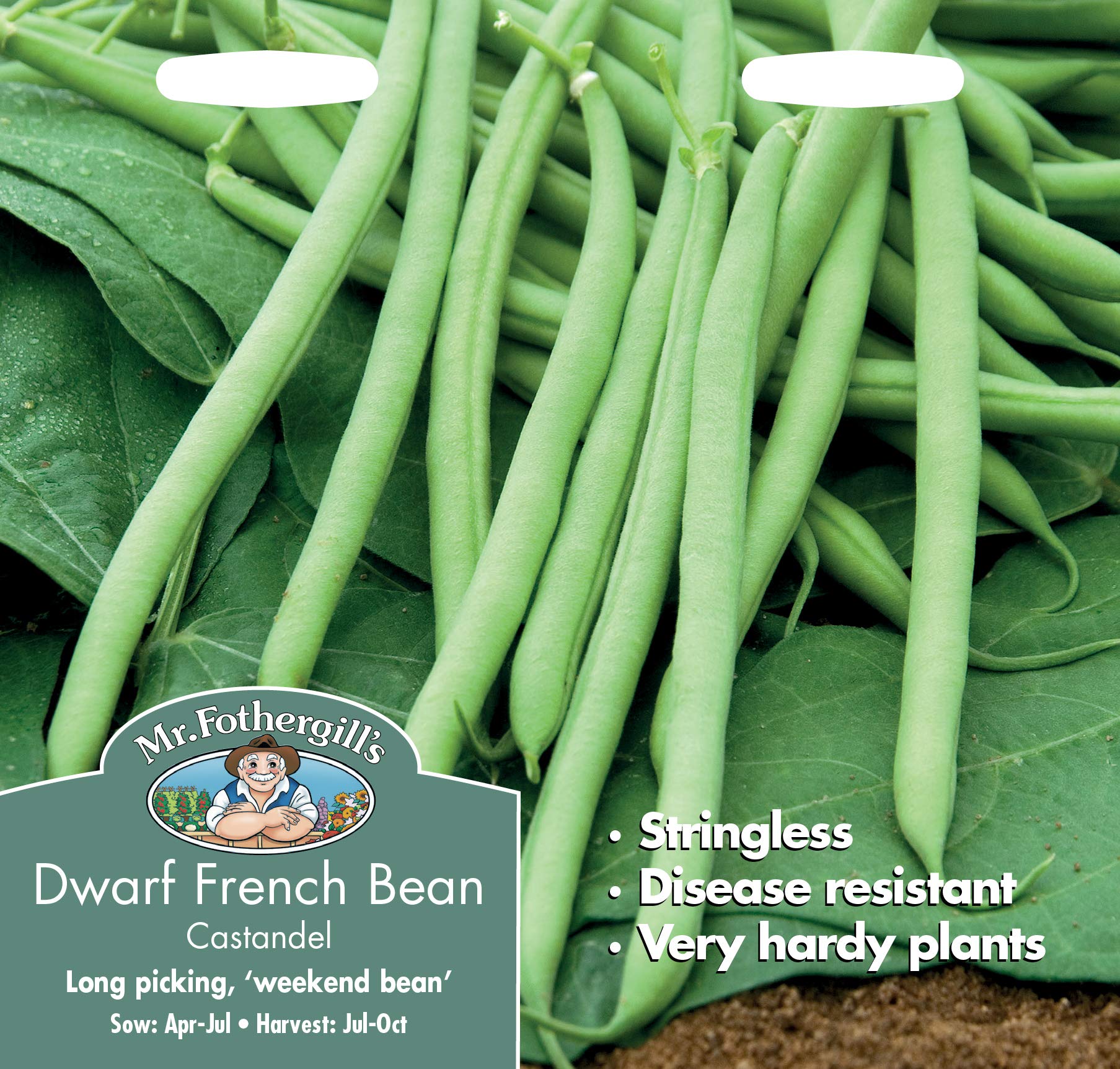 Mr Fothergill’s 22603 Dwarf French Bean Castandel Vegetable Seeds, Green