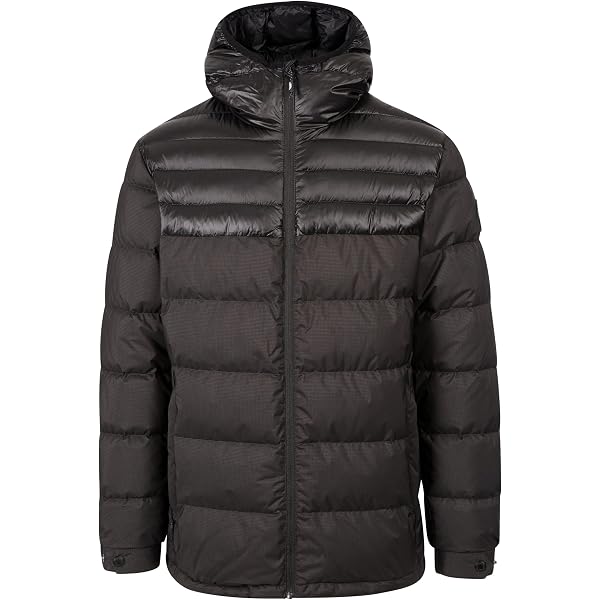 THE NORTH FACE Men's Baltic Down Puffer Hooded Jacket (US, Alpha