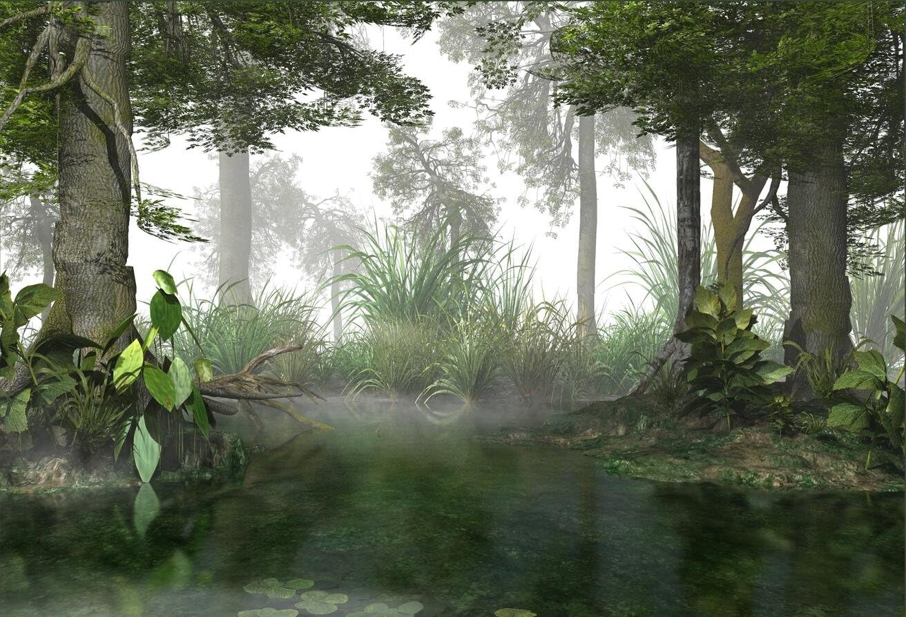 Amazon 7 X 5ft写真バックドロップmisty Swamp Forest Backdrop For Studio小道具写真バックドロップ バックペーパー 背景布 通販