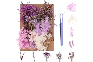 QSCFKL Real Dried Flowers, Natural Dried Flowers Mixed,Natural Pressed Flowers Decorative Dried Flowers for DIY Candle Resin Jewelry Nail Pendant Crafts Making (Purple Series)