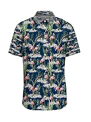 LuckLemocor Tropical Flamingo Men's Hawaiian Shirts