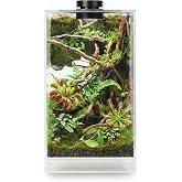 Desktop Glass Plant Terrarium with Grow Light for Carnivorous Plants &amp; Moss | L7.8 x W7.8 x H14 in; Timer Auto On/Off; Succulent Display; Miniature Gardening; Indoor Decor; Gift for Plant Lovers.