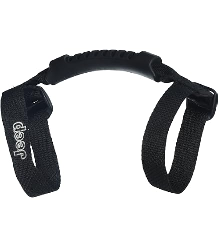 Amazon.com: Mopar Jeep Grab Handles (82211740AC) | OEM Car & Truck