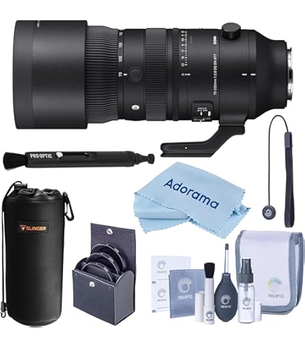 Amazon.com : Sigma 70-200mm F2.8 DG DN OS for L-Mount : Electronics