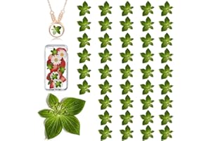 HQT Green Dried Leaves for Resin Crafts, 42PCS Natural Real Pressed Leaves for Resin DIY Jewellery Ornament DIY Crafts Candle Making Phone Case Home Decor