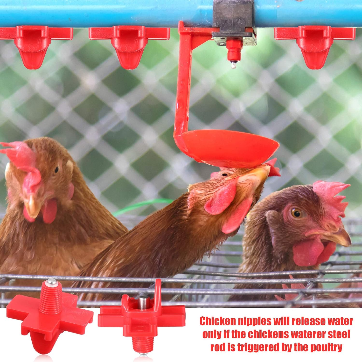 30 Pieces Horizontal Chicken Nipples Waterer Automatic Poultry Nipples 30-pieces-horizontal-chicken-nipples-waterer-automatic-poultry-nipples