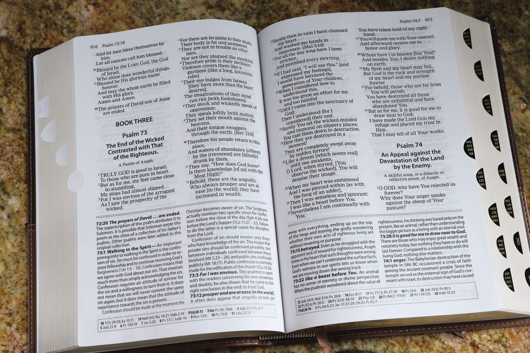 The Amplified Study Bible, Leathersoft, Brown, Thumb Indexed The Amplified Study Bible, Leathersoft, Brown, Thumb Indexed Imitation Leather
