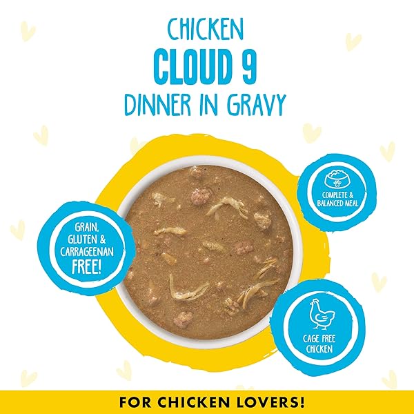 WERUVA B.F.F. OMG – BEST FELINE FRIEND OH MY GRAVY!, CHICKEN CLOUD 9 WITH CHICKEN IN GRAVY, 5.5OZ CAN (PACK OF 8)