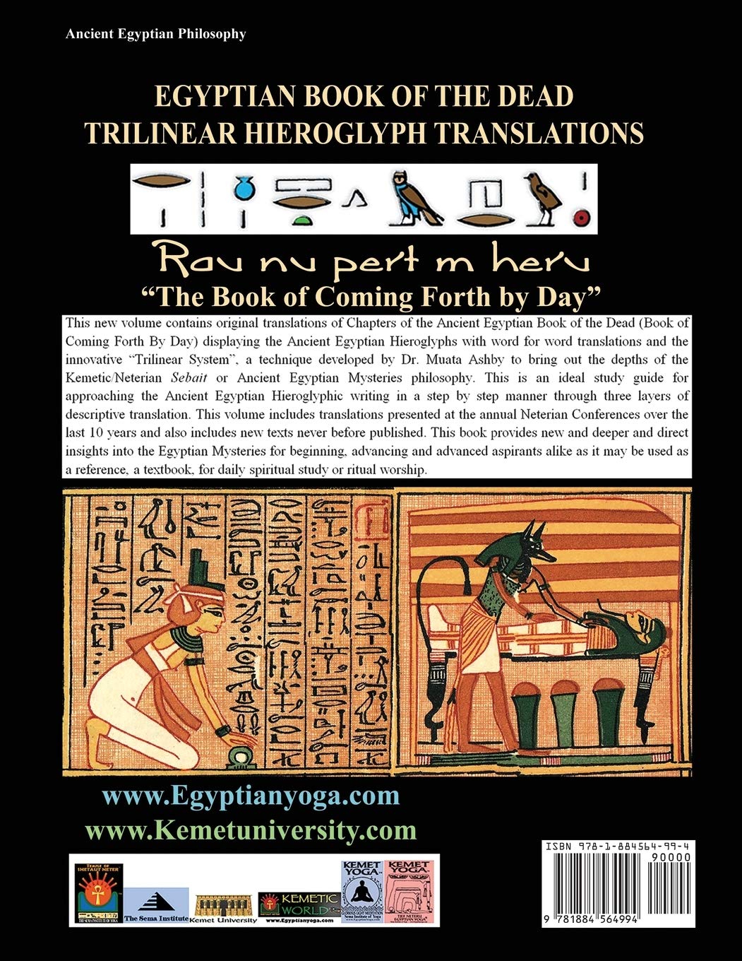 Mua EGYPTIAN BOOK OF THE DEAD HIEROGLYPH TRANSLATIONS USING THE ...