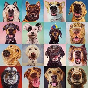 Buffalo Games - Follow Your Nose - 300 Large Piece Jigsaw Puzzle Multicolor, 18"L X 18"W