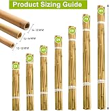 TradeXone Heavy Duty Bamboo Canes 2ft-8ft for Plant Support view 3