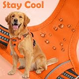 Funfox Dog Harness Small No Pull Vest with Handle Reflective Strips Orange view 6