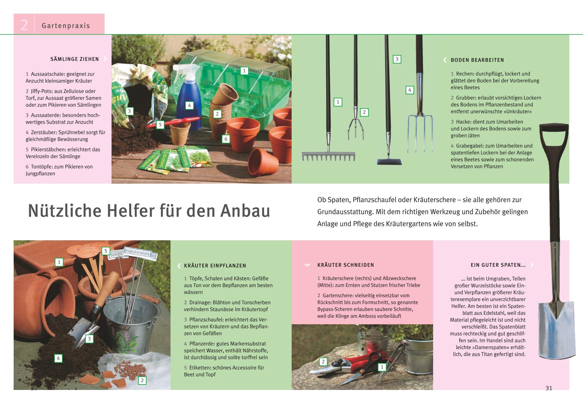 Krauter Selbst Anbauen Schritt Fur Schritt Zum Eigenen Krauerparadies Gu Praxisratgeber Garten Amazon De Hudak Renate Bucher