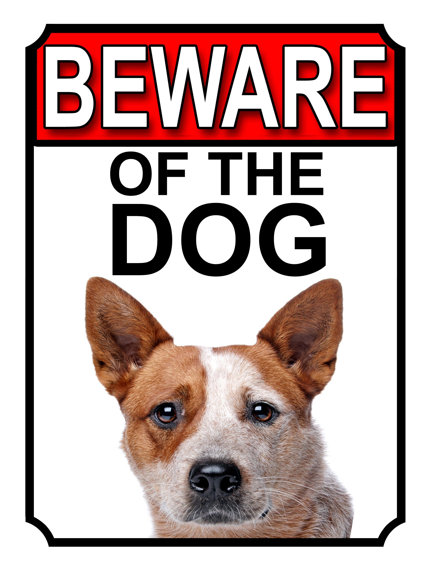SHAWPRINT BEWARE OF THE DOG METAL GATE SIGN AUSTRALIAN CATTLE DOG 200MM X 150MM (1107H1)
