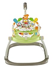 best fisher price jumperoo
