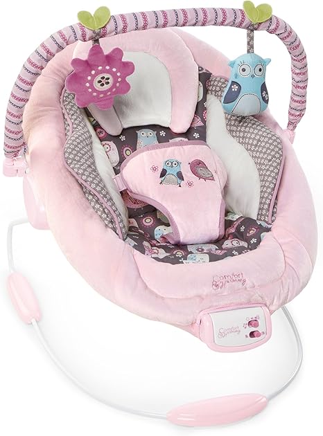 bright starts car seat