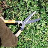 Amtech U0700 Garden Shears Wooden Handle for Hedges Shrubs Grass view 2