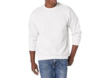 Hanes Men's EcoSmart Sweatshirt