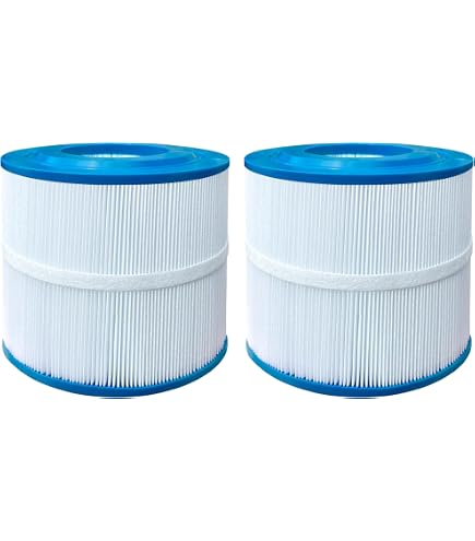 Amazon.com: L-Fongda Spa Filter Compatible with Wellspring 10