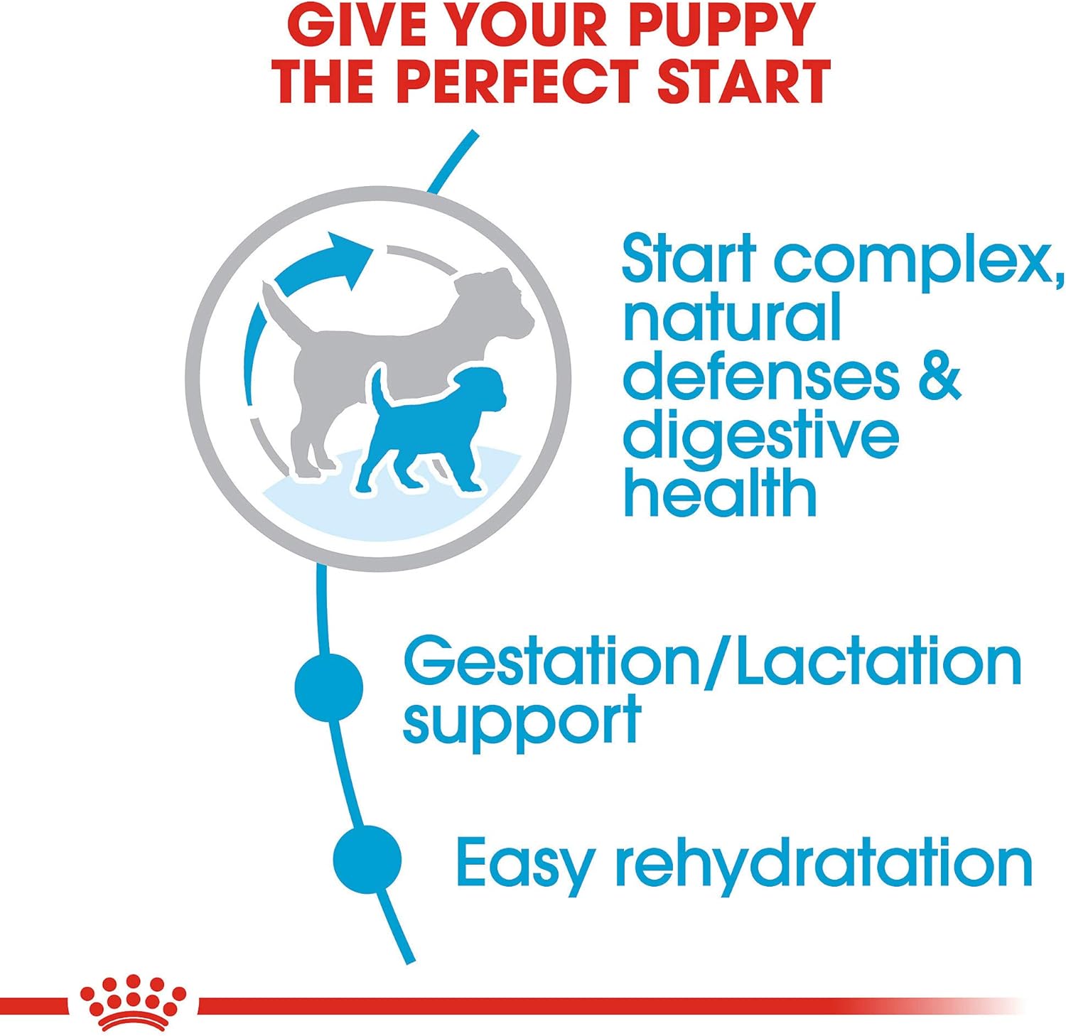 royal canin mini starter mother & babydog