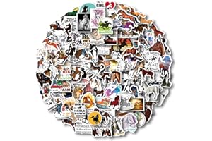 AOWDIAO 100 Pieces Horse Stickers, Horse Riding Stickers Pack for Water Bottle, Laptop, Car, Luggage, Horse Gifts for Girls Women Kids