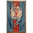 vintage design gulf racing pin up girl banner