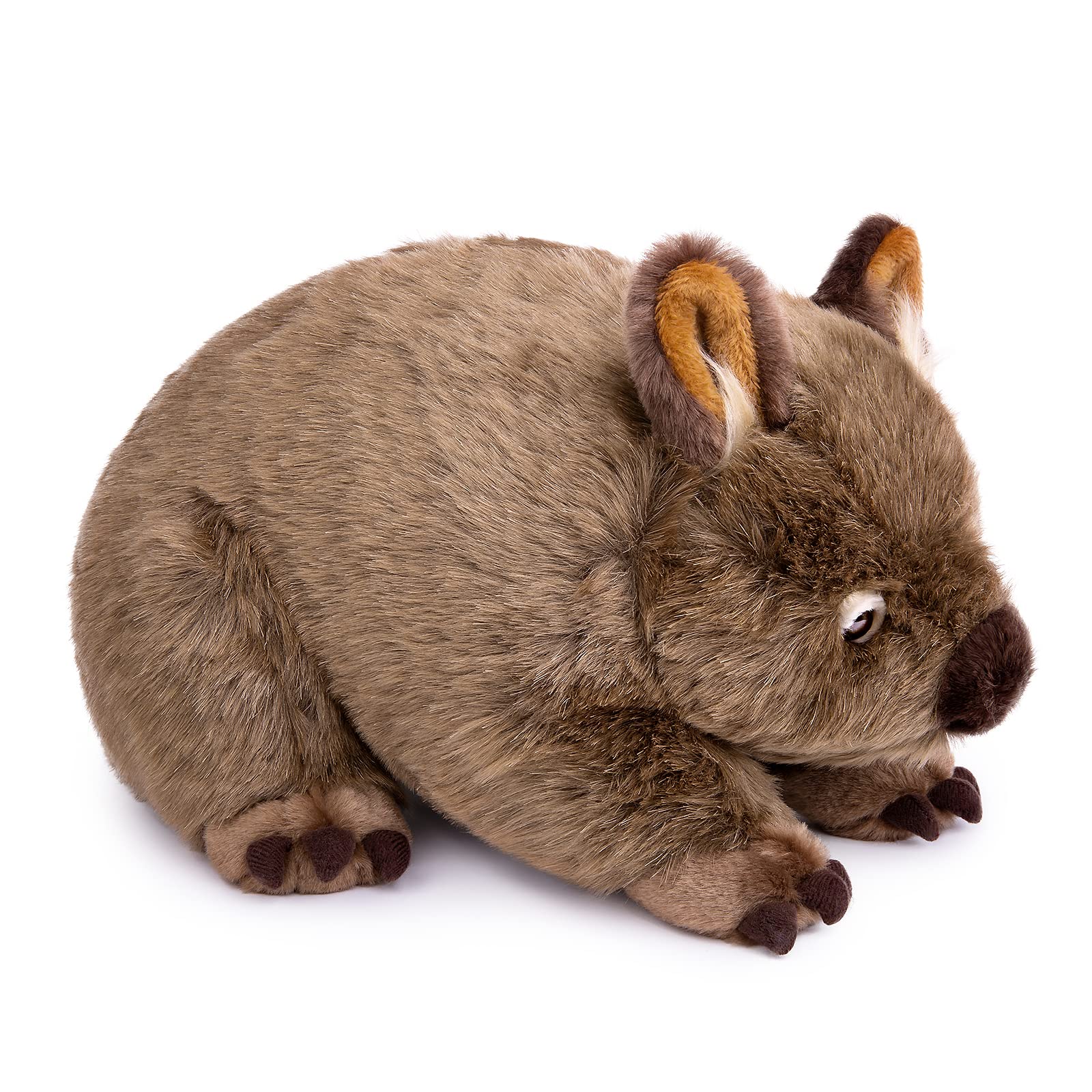 lilizzhoumax Wombat Soft Toy 28cm/11”, Realistic Stuffed cave animals Cute Cuddly Plush Toy, Super Soft Wombat Gift for Kids Girls Boys Home Decor — image 1