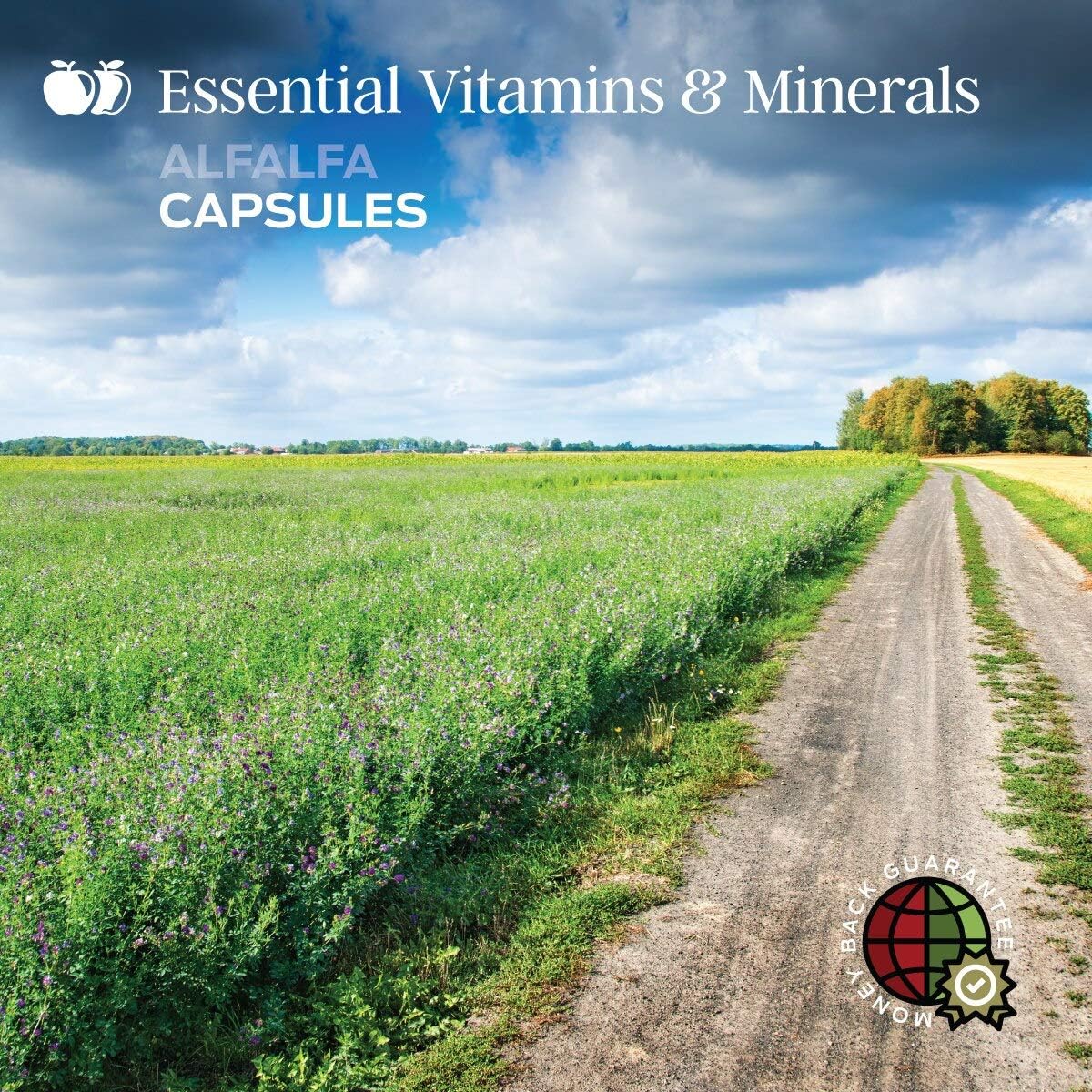 Pure Organic Alfalfa Leaf (Medicago Sativa) - 100 Capsules - 460mg of Pure Dried Alfalfa Leaf Powder Tablets: Health & Personal Care