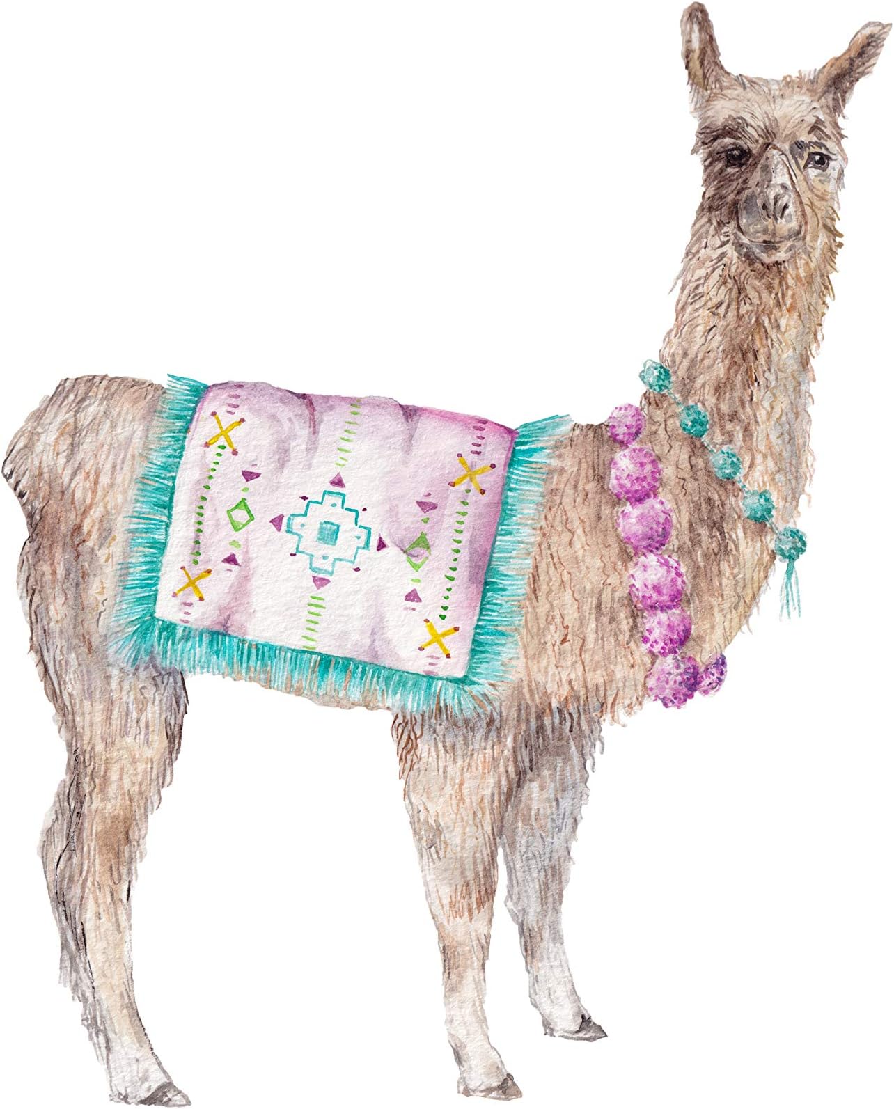 Colorful Alpaca Llama India Morocco Limited Edition Print 8.5x11 Watercolor