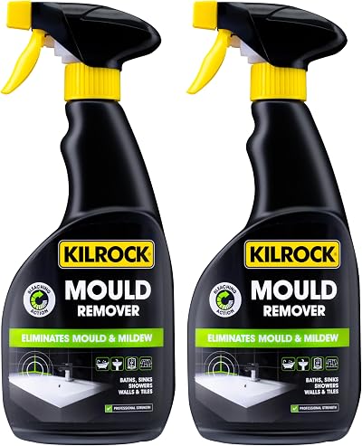 Kilrock Mould Remover Spray 2 x 500ml - Eliminates Mould & Mildew