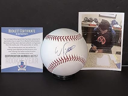 tampa bay rays official store