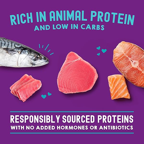 STELLA & CHEWY’S CARNIVORE CRAVINGS WET CAT FOOD – PREMIUM POUCHES – GRAIN FREE, HIGH PROTEIN SALMON, TUNA & MACKEREL – PERFECT FOR PICKY EATERS – COMPLETE MEAL OR TOPPER (2.8 OZ, 12 PACK)