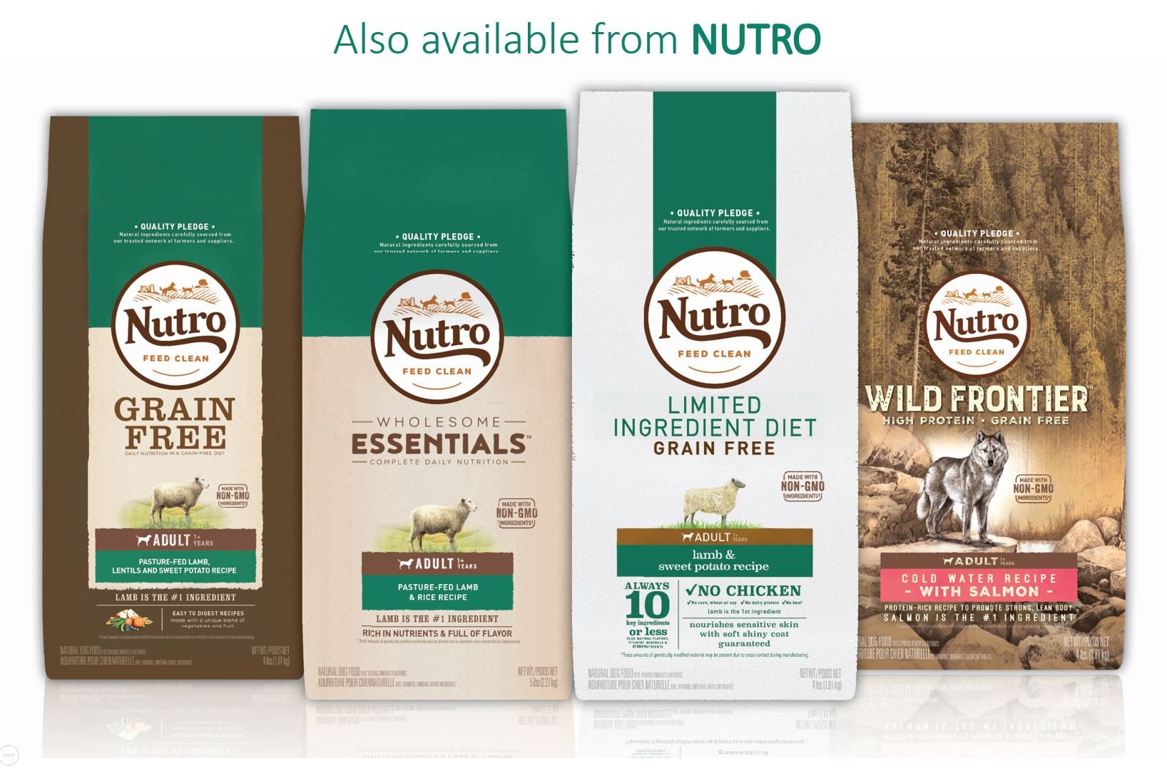 Nutro Wholesome Essentials Adult Dry Dog Food - Lamb & Rice