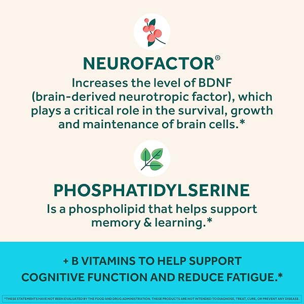 NEURIVA PLUS BRAIN SUPPLEMENT FOR MEMORY,FOCUS & CONCENTRATION+COGNITIVE FUNCTION WITH VITAMINS B6 & B12 AND CLINICALLY TESTED NOOTROPICS PHOSPHATIDYLSERINE AND NEUROFACTOR,50CT STRAWBERRY GUMMIES