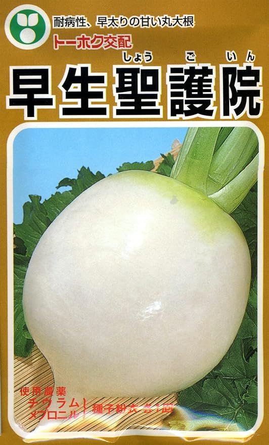 Amazon トーホク F1早生聖護院大根 ml Thk 野菜
