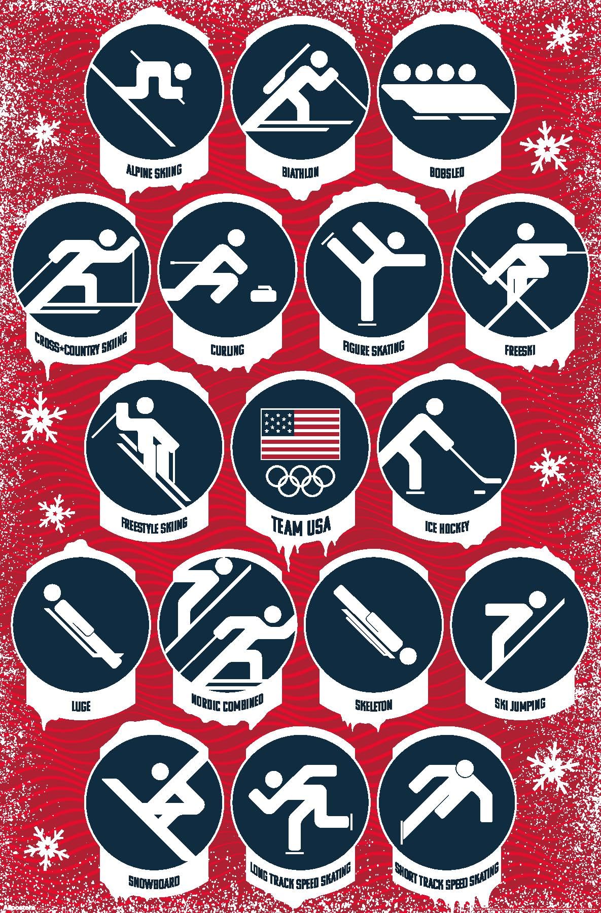 Photo 1 of Team USA: 2026 Winter Olympics (Milan) - Pictograms Wall Poster, 19L" x 13W", Premium Unframed Version