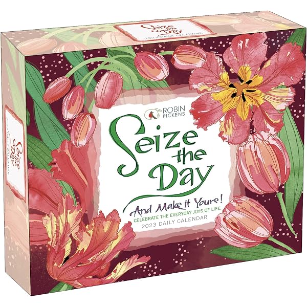 Amazon.com: Seize The Day 2023 Boxed Daily Desk Calendar by Robin Pickens,  6" x 5" : Sellers Publishing, Inc., Pickens, Robin: Everything Else