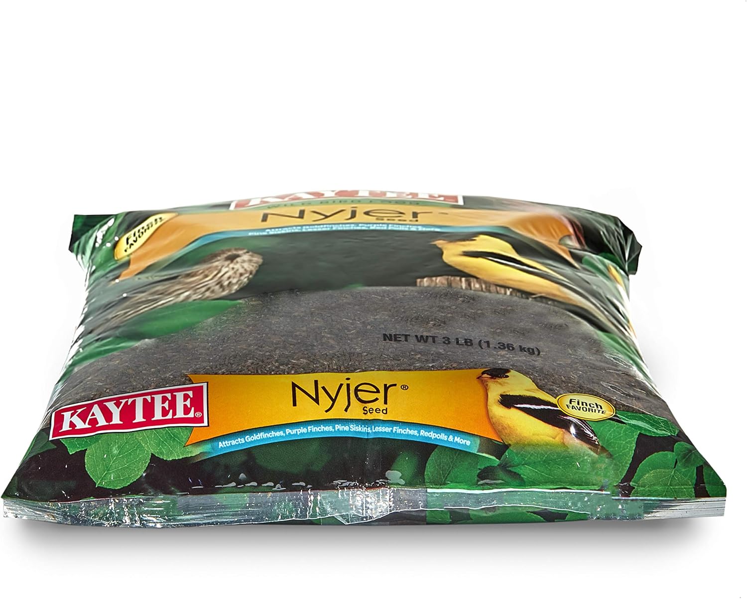 Kaytee Nyjer Thistle Seed, 3 lb: Pet Supplies