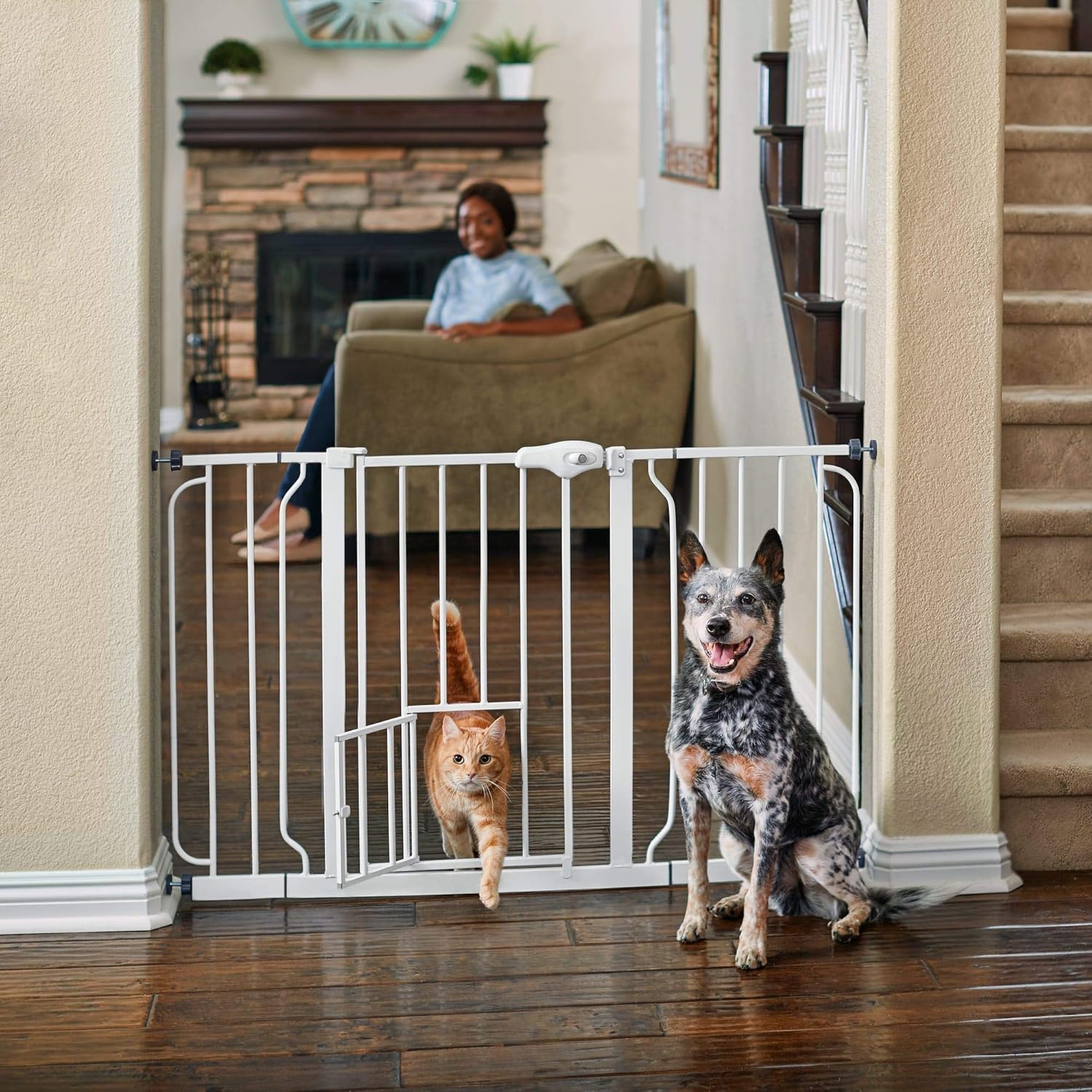 you and me walk through pet gate