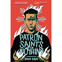 Patron Saints of Nothing book cover