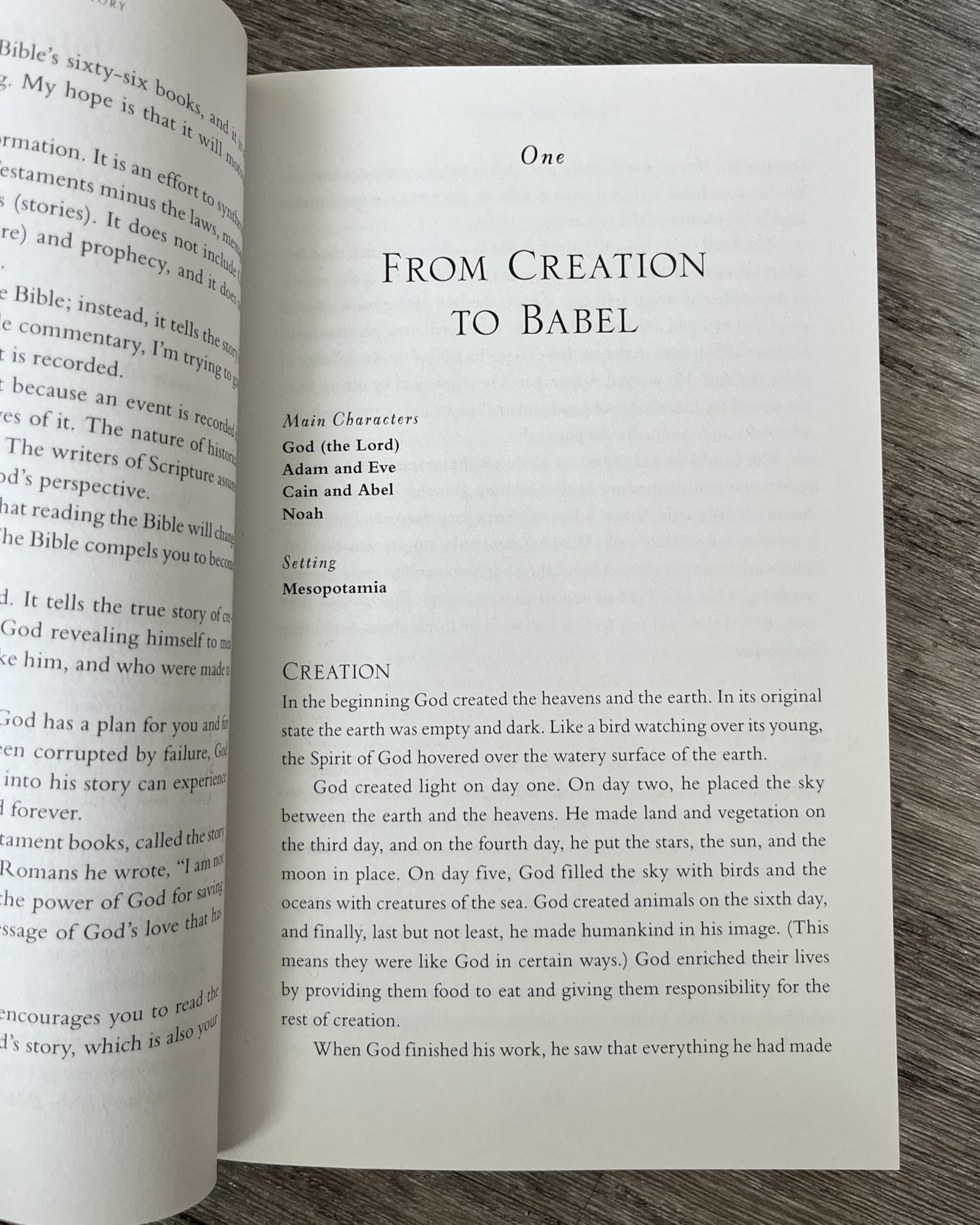 The Whole Bible Story: Everything That Happens in the Bible in Plain English (A Chronological Recap for Understanding the Bible―Stories of the Bible and Bible Study for Adults)