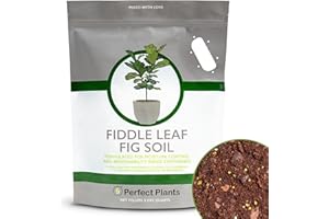 Fiddle Leaf Fig Soil by Perfect Plants 8QTS, Premium Professional Blend for All Fiddle Leaf Figs