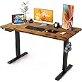 Win Up Time Standing Desk Adjustable Height- 40 x 24 Inches Whole Piece Desktop Stand Up Desk, Electric Standing Desk, Sit to Stand Desk for Home Office Computer Desk, Rustic Brown