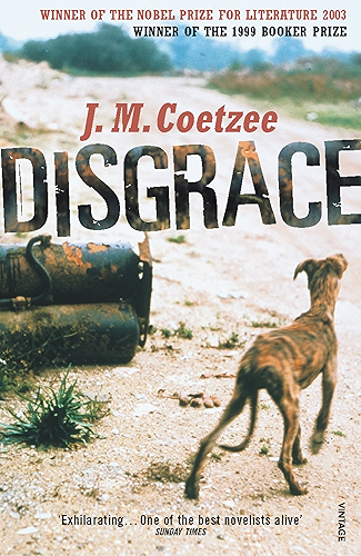 Download Disgrace (English Edition) PDF