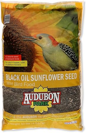 Amazon Com Audubon Park 12261 Black Oil Sunflower Seed Wild Bird