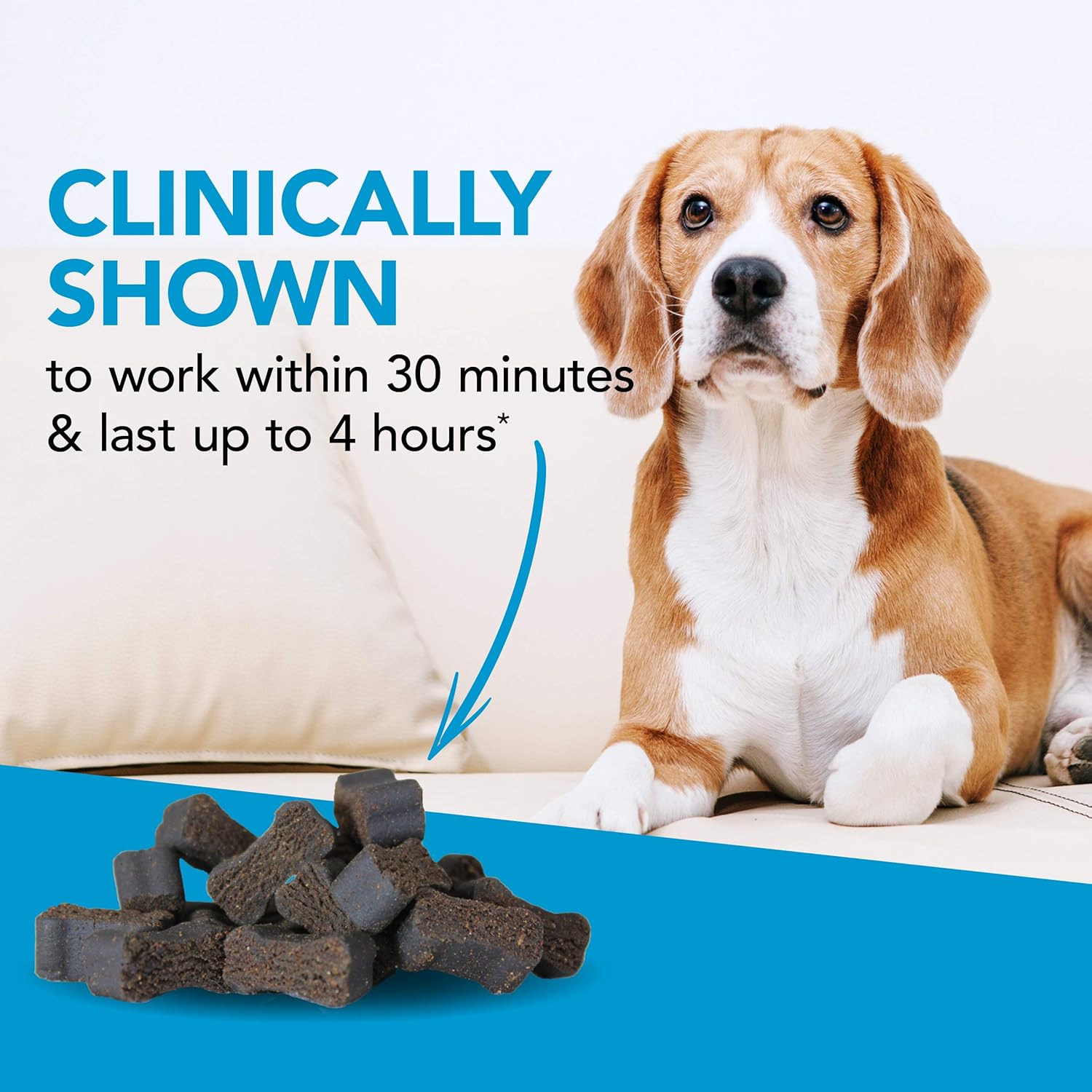 composure plus for dogs