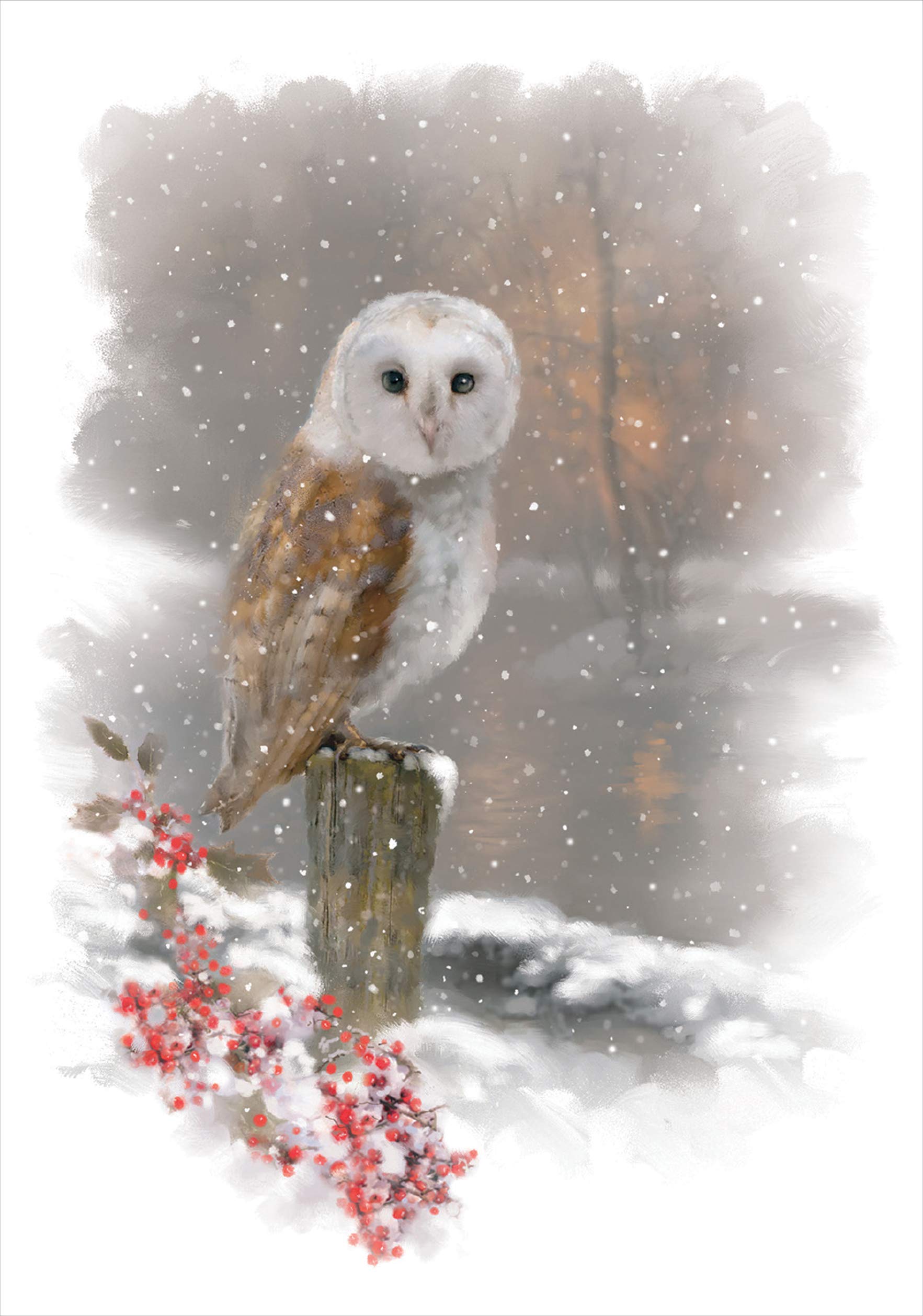 Winter Owl Small Boxed Holiday Cards Christmas Cards Greeting